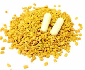 Fenugreek Seeds and Capsules  copy